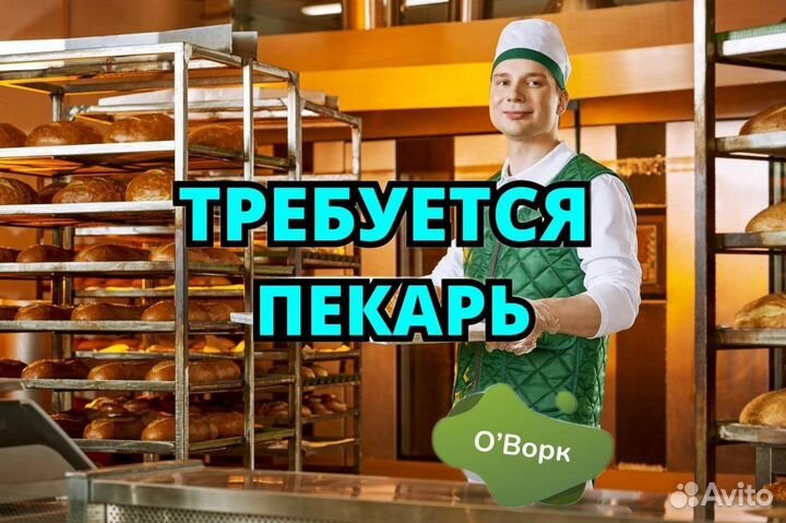 Пекарь-повар. cp079