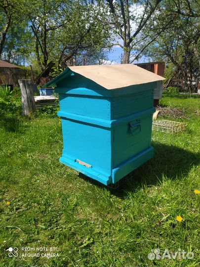 Продается пчелосемья