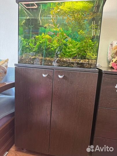 Сборка и изготовление мебели