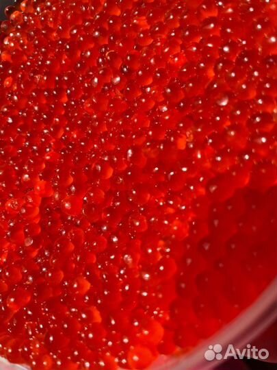 Икра кеты 2024