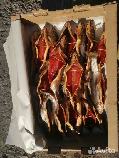 Рыба оптом. х/к, вяленая, солёная