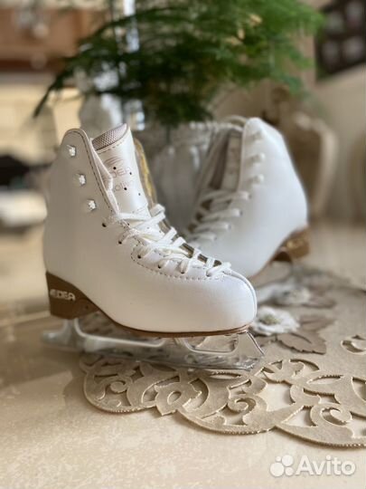 Фигурные коньки edea motivo 210