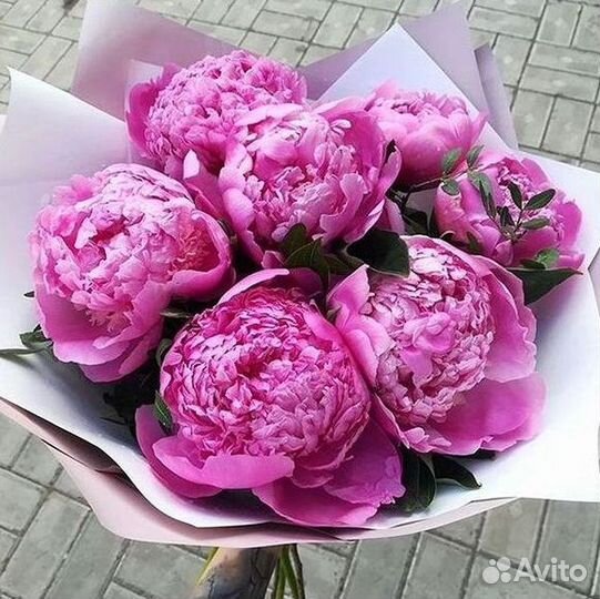 Пионы Букет пионов