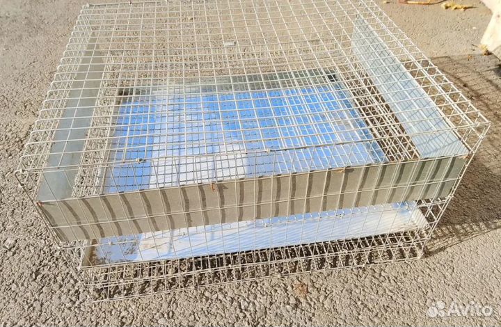 Клетка для перепёлок и перепелов