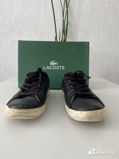 Lacoste кеды мужские 40