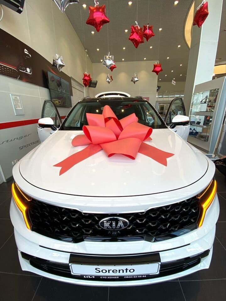 Kia Sorento: фото владельца