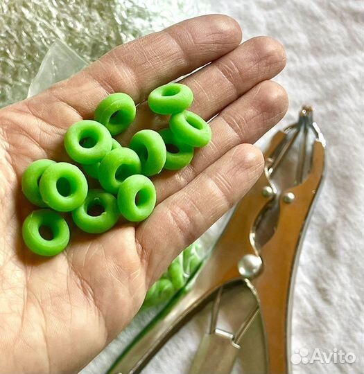 Кольца для кастрации и обезроживания