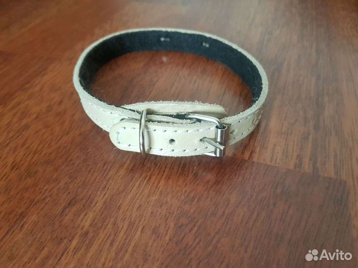 Ошейник для собак