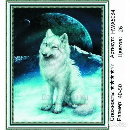 Алмазная мозаика 40x50 HWA5034