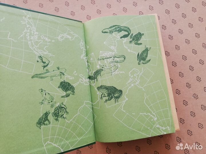 Редкие и исчезающие животные Книга-справочник Змеи