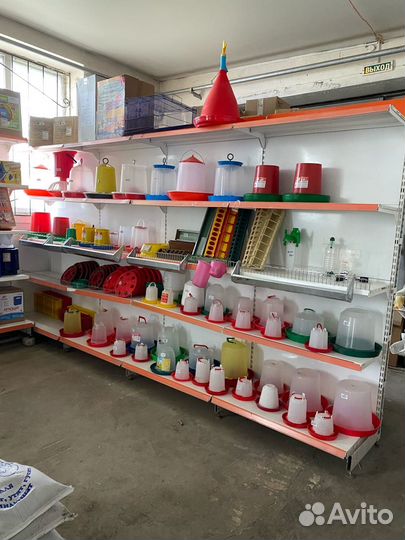 Фелуцен для свиней и поросят