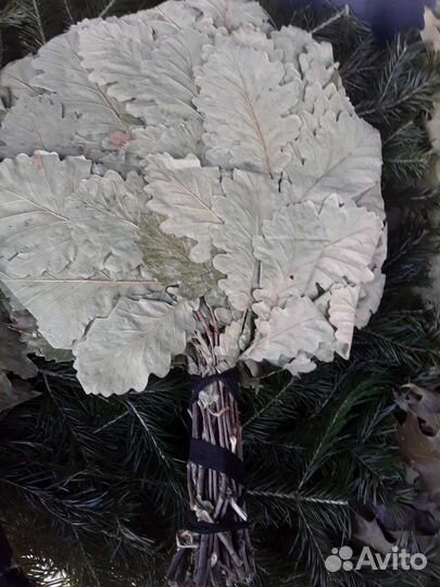 Дубовый Веник,береза,липа