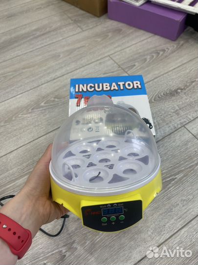 Инкубатор