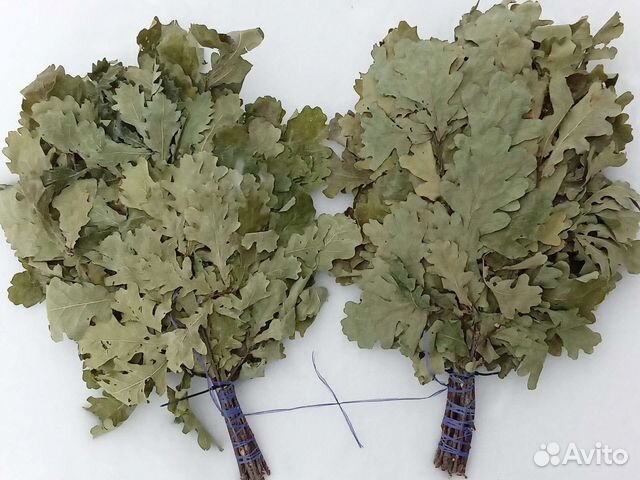 Веники для бани дуб, берёза