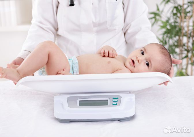 Весы для новорожденных прокат