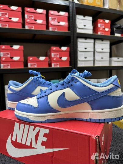 Nike dunk low blue 