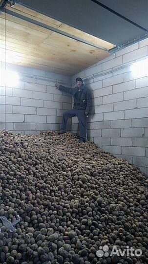 Картофель с доставкой