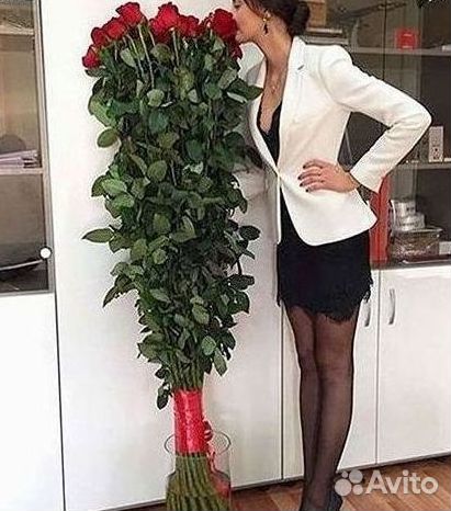 Высокие розы Гигантские Розы 150 160 170 180 190см