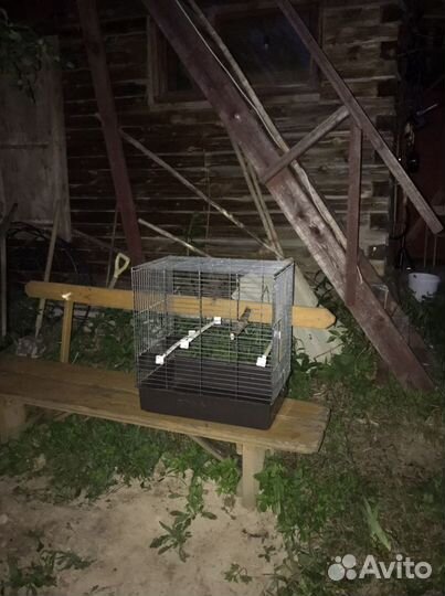 Клетка для грызунов большая