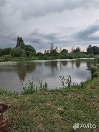 Платная рыбалка