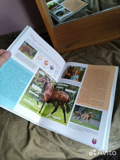 Книга лошади