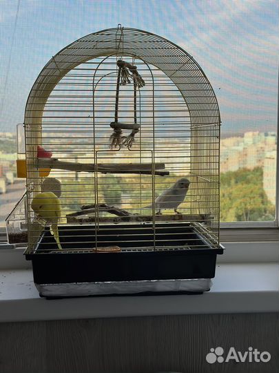 Клетка для попугая новая