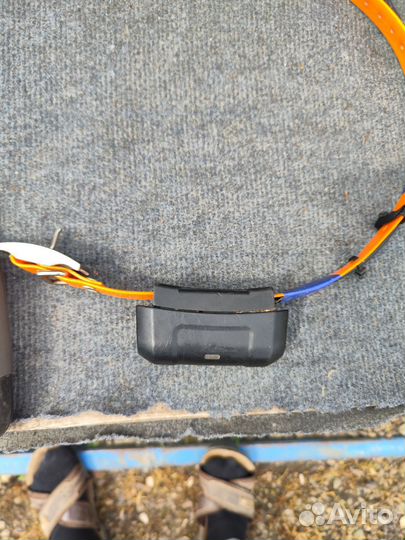 Навигатор garmin Astro 220 с ошейником