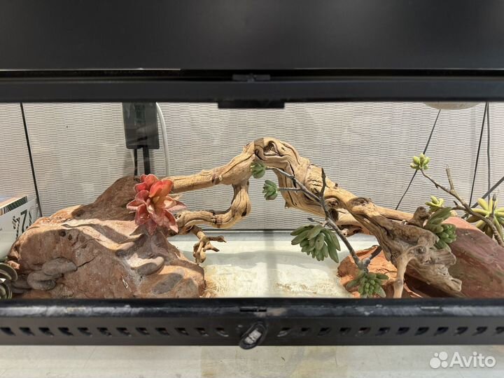 Tеррариум Exo Terra