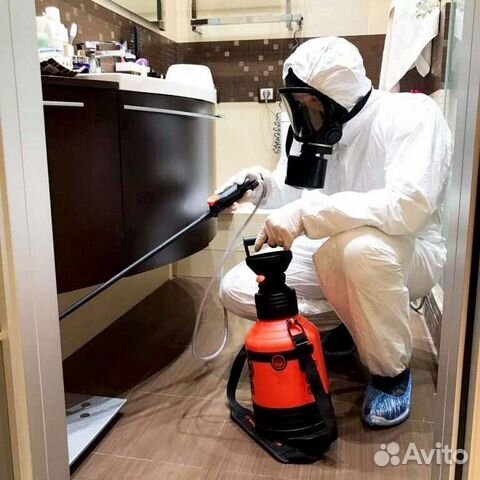 Уничтожение тараканов, клопов, мышей, муравьёв