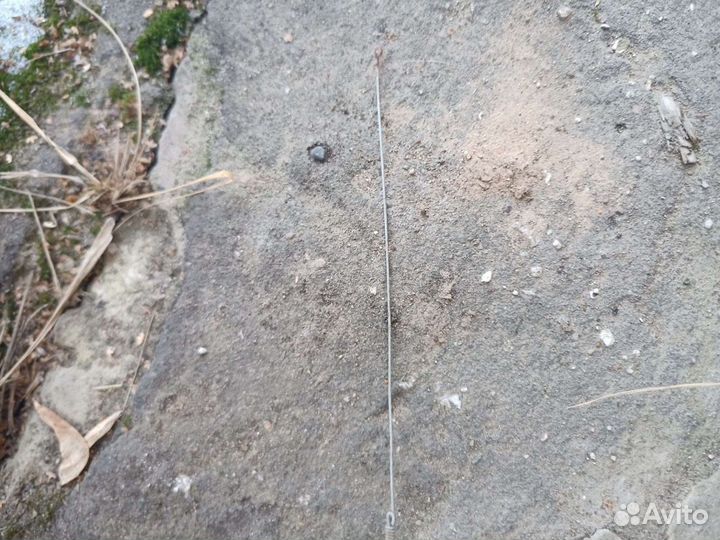 Антенна куликова