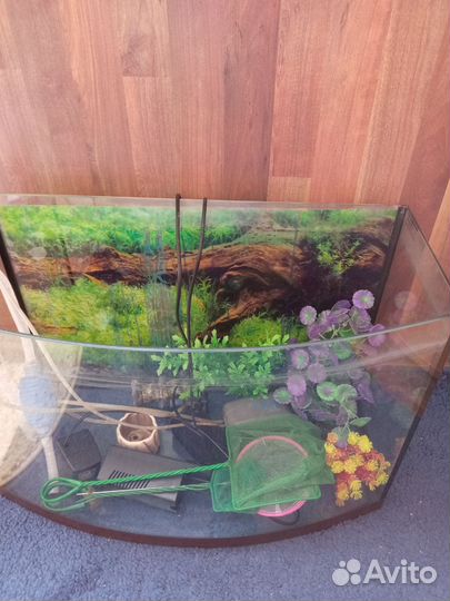 Аквариум