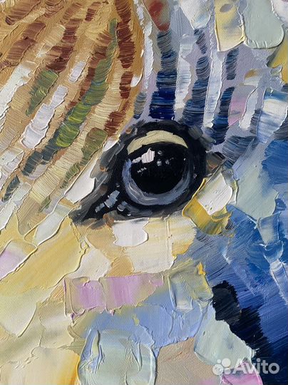 Картина-постер маслом на холсте пони лошадь