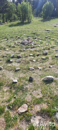 Тур одного дня 