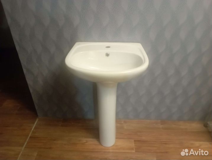 Раковина тюльпан