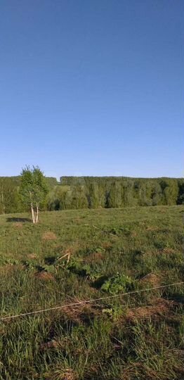 Участок 15 сот. (СНТ, ДНП)