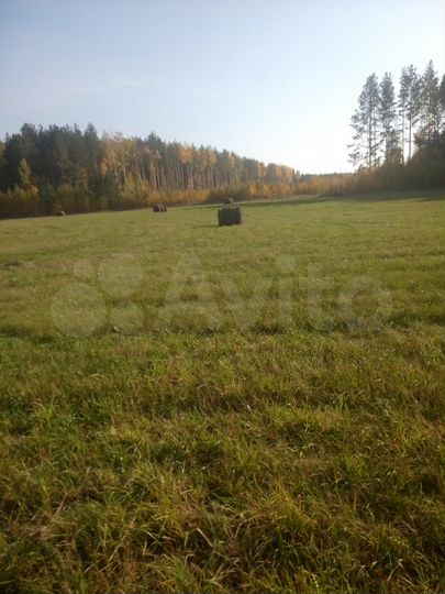 Участок 2 га (СНТ, ДНП)