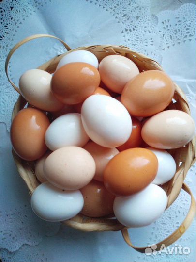 Яйца (куриные, утиные, гусиные)