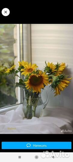 Букет из подсолнухов