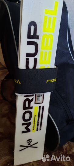 Горные лыжи