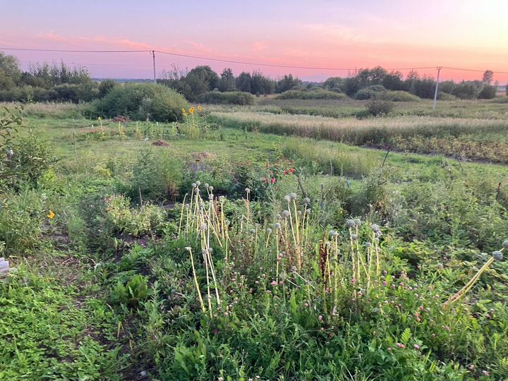 Дача 24 м² на участке 10,8 сот.