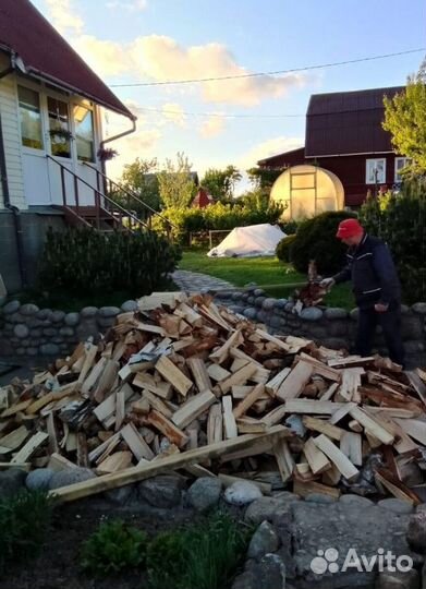 Дрова Береза навалом в Сертолово