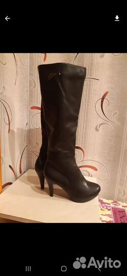 Сапоги осень