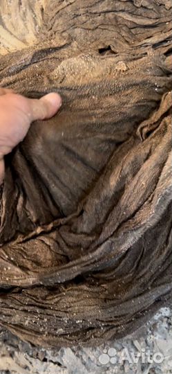 Говяжий книжки