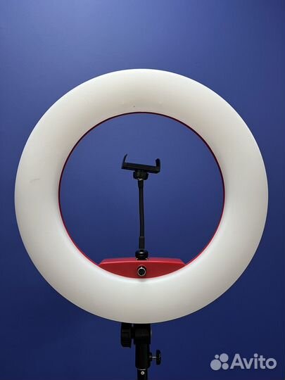 Кольцевая лампа FD 480 витринная