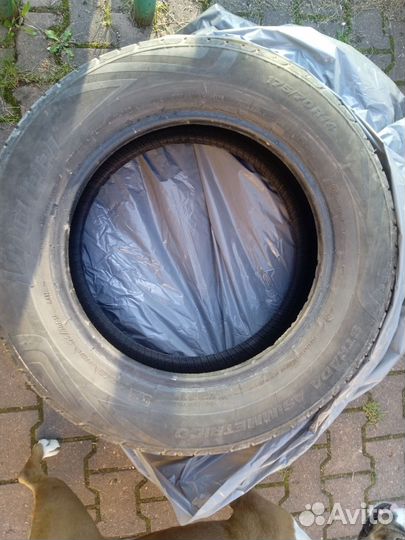 Viatti Strada Asimmetrico 175/70 R14 84H