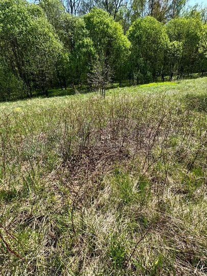 Участок 6 сот. (ИЖС)