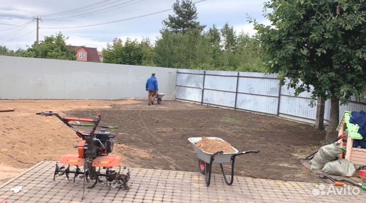 Рулонный газон