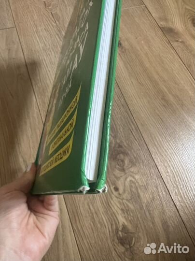 Букварь жукова