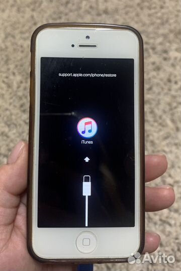 iPhone 5 и iPhone 5s