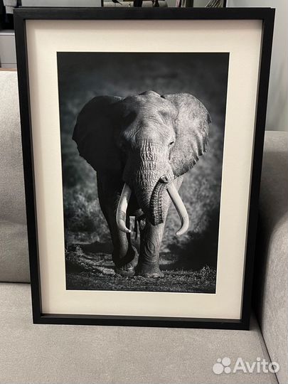 Картины интерьерные в раме с паспарту